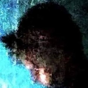 Meet your Posher, Janson